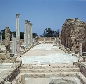 Gymnasium Prints: The Greek Gymnasium in Salamis