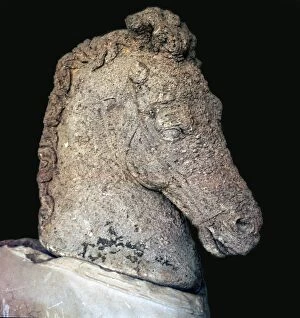Greek marble horses head, c.5th century BC