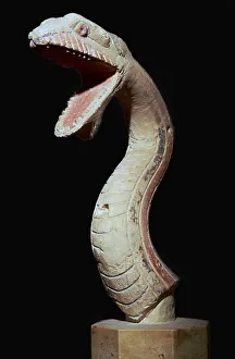 Greek polychrome head of a serpent, c. 6th century BC