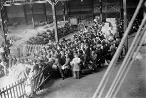 Sack Prints: Greeks boarding MADONNA, 1912. Creator: Bain News Service