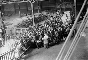 Immigration Prints: Greeks boarding Madonna, 1912. Creator: Bain News Service