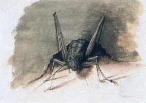 Grasshopper Prints: Green Grasshopper, 16th century. Artist: Joris Hoefnagel