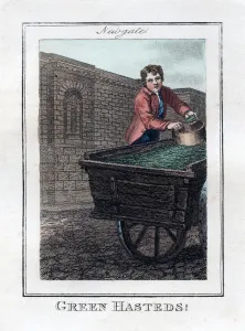 Newgate Gaol Prints: Green Hasteds, Newgate, London, 1805