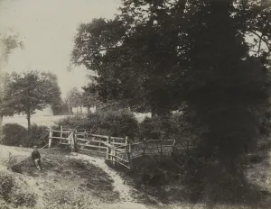 Green Meadows, 1854. Creator: George Shadbolt (British, 1819-1901); Photographic Exchange Club