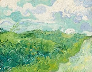 Van Gogh Vincent Gallery: Green Wheat Fields, Auvers, 1890. Creator: Vincent van Gogh