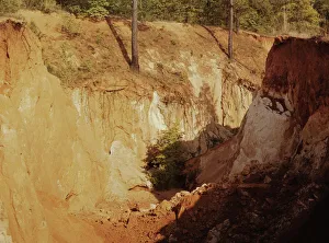 Erosion Gallery: Greene Co. Ga. eroded farm land, 1941. Creator: Jack Delano