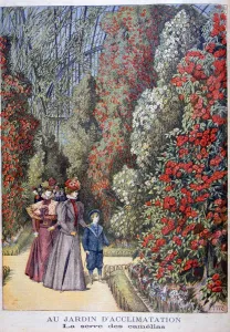 Camellia Prints: The greenhouse of the camellias, zoological gardens, Paris, 1897. Artist: Henri Meyer