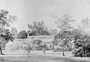 Glasshouse Prints: Greenhouse, David Hosack Estate, Hyde Park, New York (from Hoasack Album), ca. 1832