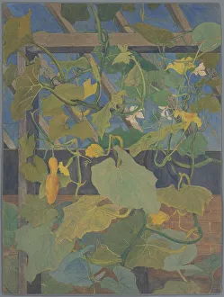 Squash Prints: Greenhouse with ornamental gourd, 1897-1901. Creator: Theo van Hoytema