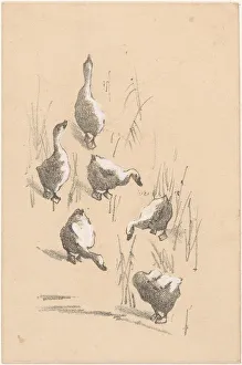 Greeting Card Prints: Greeting card with six geese, 1878-1917. Creator: Theo van Hoytema