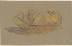 Greeting Card Prints: Greeting card with six owls, 1890. Creator: Theo van Hoytema
