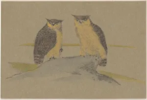 Greeting Card Prints: Greeting card with two owls, 1890. Creator: Theo van Hoytema