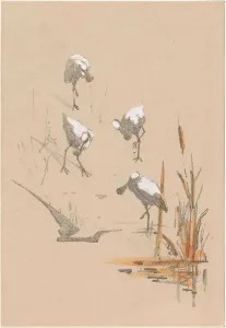 Greeting Card Prints: Greeting card with four spoonbills, c.1878-c.1917. Creator: Theo van Hoytema
