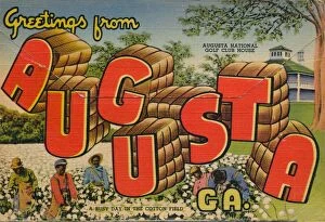 Cotton Field Gallery: Greetings from Augusta, Georgia: A Busy day in the Cotton Field, 1943
