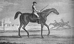 Grenadier Prints: Grenadier, c18th century, (1911)