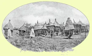 Storage Prints: Greniers a mil au Mossi; L'Ouest Africain, 1914. Creator: Unknown