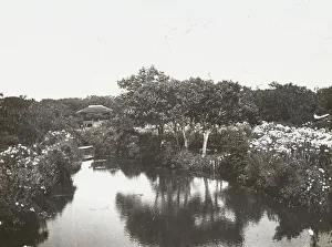 Lantern Slides 1910 1920 Gmgpc Prints: Grey-Croft, Stephen Swete Cummins house