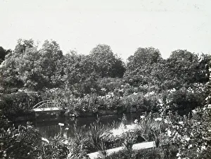 Lantern Slides 1910 1920 Gmgpc Prints: Grey-Croft, Stephen Swete Cummins house