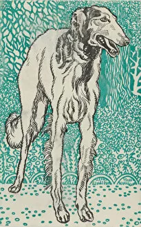 Burger Collection: Greyhound, 1912. Creator: Moritz Jung