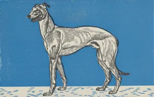 Greyhound, 1912. Creator: Moritz Jung