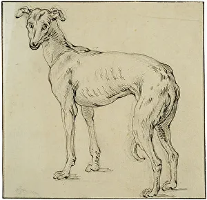 Tail Prints: Greyhound. Creator: Abraham Bloemaert