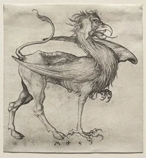 The Griffin, 1400s. Creator: Martin Schongauer (German, c. 1450-1491)