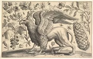 Herb Gallery: A Griffin, 1625-77. Creator: Wenceslaus Hollar