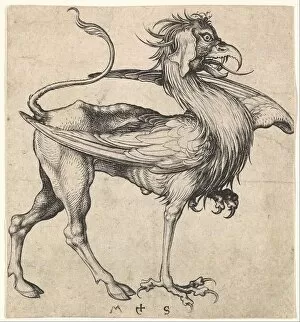 Griffin, ca. 1435-1491. Creator: Martin Schongauer