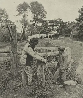 Sampson Low Prints: At the Grindstone--A Suffolk Farmyard, 1888. Creator: Peter Henry Emerson (British