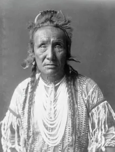 Braids Prints: The Grizzly Bear, Piegan, half-length portrait