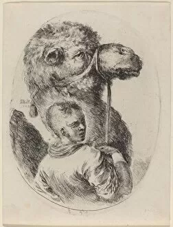 Groom Collection: Groom with a Camel, 1649. Creator: Stefano della Bella