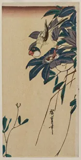 Grosbeak and Clematis, mid-1830s. Creator: Ando Hiroshige (Japanese, 1797-1858)