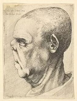 Da Vinci Leonardo Collection: Grotesque old man with flattened nose in profile to left, 1625-77