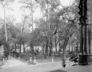 Hospitality Prints: Grounds at the Pine Forest Inn, Summerville, S.C. c1904. Creator: Unknown