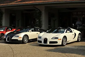 Spyder Prints: Group of Bugatti Veyron cars