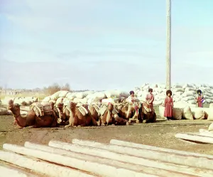 Silk Road Prints: Group of camels and four men posed in front of piles of sacks