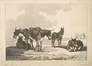 Rowlandson Collection: A Group of Five Donkeys, Three Standing, Two Lying, 1783-87. Creator: Thomas Rowlandson