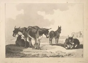 Rowlandson Collection: A Group of Five Donkeys, Three Standing, Two Lying, 1783-87. Creator: Thomas Rowlandson