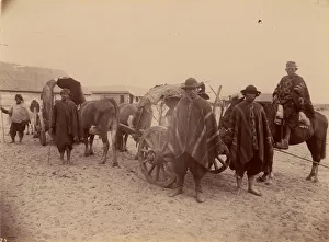 Bullock Prints: Group of Indians with Cart and Oxen, 1880s. Creator: Unknown