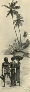 Sri Lankan Gallery: Group of men, Colombo, Ceylon, 1898. Creator: Christian Wilhelm Allers
