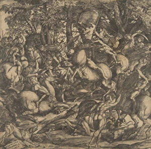 Tiziano Gallery: Group of naked men engaged in battle in a wooded landscape