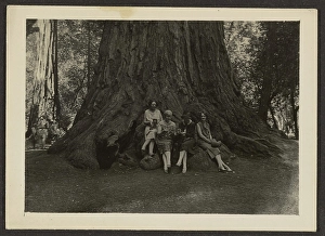 Camera Prints: Group Portrait at Base of Tree, 1907-1943. Creator: Louis Fleckenstein