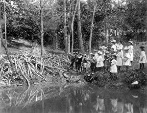 Group of public school children looking at beaver dam in the National Zoo(?), Washington DC, (1899?) Creator: Frances Benjamin Johnston