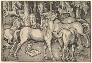 Baldung Grien Hans Gallery: Group of Seven Horses, 1534. Creator: Hans Baldung