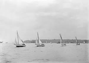 Dinghy Prints: Group of Solent Sea Birds, 1922. Creator: Kirk & Sons of Cowes