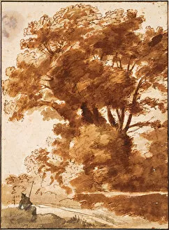 Brown Colour On Paper Collection: Group of Trees and Resting Sheperd, 1630s. Artist: Lorrain, Claude (1600-1682)