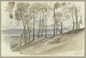 Atmosphere Prints: Group of trees on a slope near Hallgarten