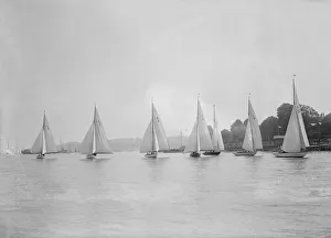 Group of V s: Daisy (6), Mary (3), Judy (4), Rosemary (13), Fay (24) racing