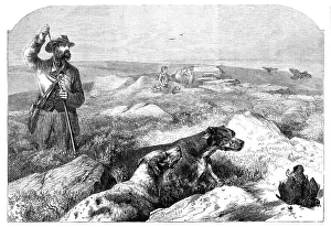 Moorland Prints: Grouse-shooting - from a drawing by Harrison Weir, 1860. Creator: Unknown