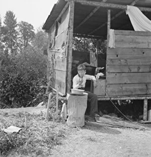 Refugee Camp Gallery: Grower provides fourteen such shacks... near Grants Pass, Josephine County, Oregon, 1939
